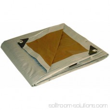 Foremost Tarp 10' x 20' Silver and Brown Tarp 551977639